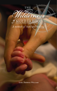 The Wilderness of Motherhood book cover